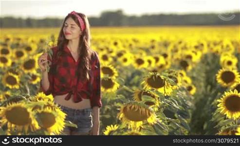 Attractive brunette female enjoying summer, youth and freedom, smelling sunflower as she stands in blooming field of sunflowers againt beautiful landscape background. Sexy woman posing in sunflower field and smiling.
