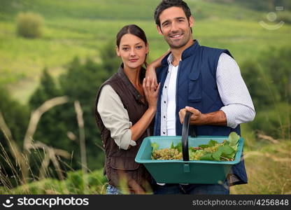 Attractive couple grapepicking