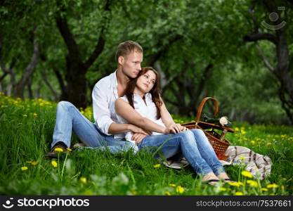 Attractive enamoured couple having embraced on picnic