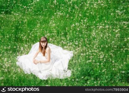 attractive girl on the field of dandelions