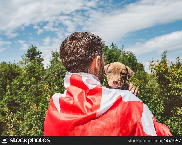 Attractive man holds a charming puppy on a background of blue sky on a clear, sunny day. Outdoor, close-up. National holiday concept. Handsome man and a charming puppy. Close-up