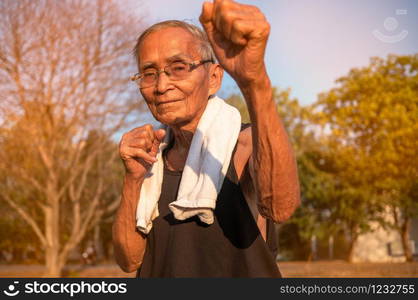 Attractive senior sportive man in boxing stance to exercises in the park for good health. Healthcare concept.