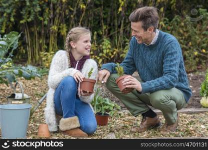 Attractive, successful and happy family, man, girl child, father and daughter gardening together in a garden vegetable patch