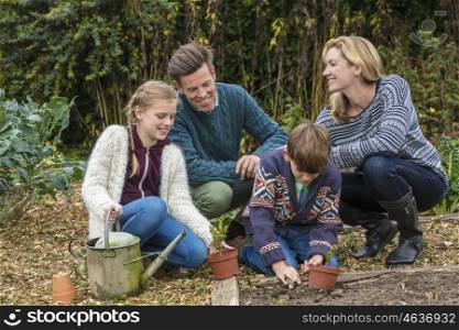 Attractive, successful and happy family, man, woman, girl and boy child, mother, father, son and daughter gardening together in a garden vegetable patch