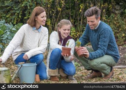 Attractive, successful and happy family, man, woman, girl child, mother, father and daughter gardening together in a garden vegetable patch