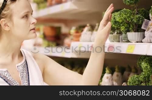 Attractive young blond woman with her sunglasses on her head standing in a shop choosing different shaped potted house plants