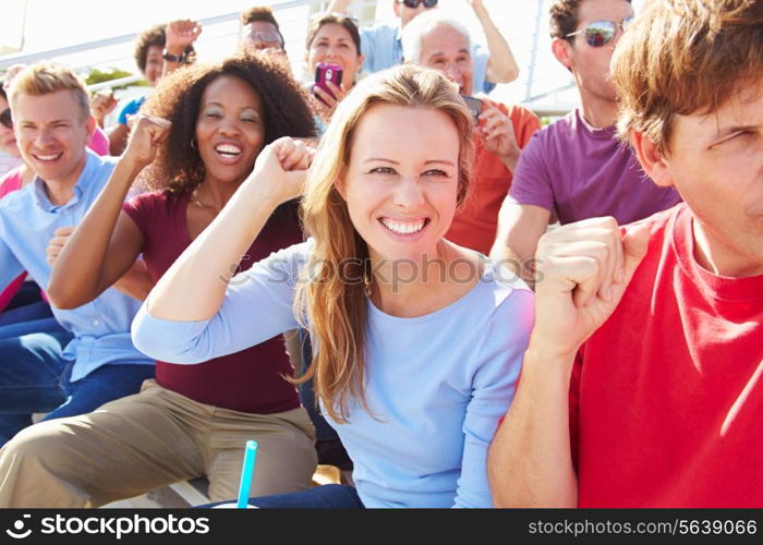 Audience Cheering At Outdoor Concert Performance