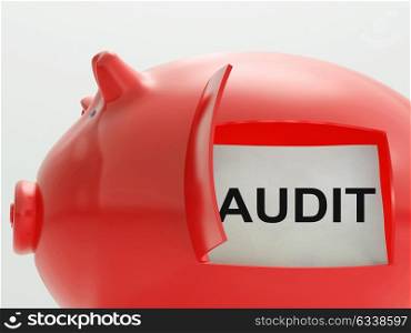 Audit Piggy Bank Meaning Inspection And Validation