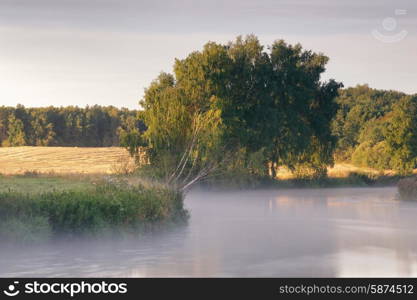 August Morning on the river Svisloch