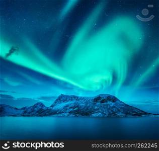 Aurora borealis above the snow covered mountain in Lofoten islands, Norway. Northern lights in winter. Night landscape with green polar lights, snowy rocks, blue sea. Beautiful starry sky with aurora. Aurora borealis above the snow covered mountain