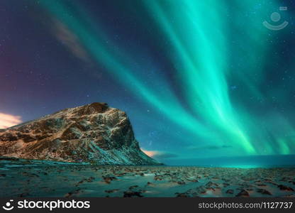 Aurora borealis above the snowy mountain and sandy beach in winter at night. Northern lights in Lofoten islands, Norway. Blue starry sky with polar lights. Landscape with aurora, frozen sea coast