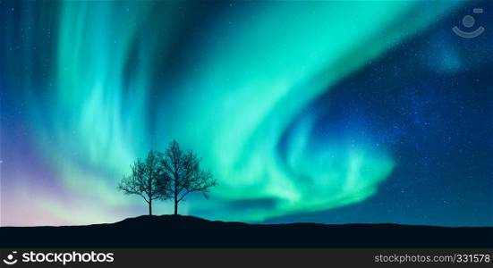 Aurora borealis and silhouette of the trees on the hill. Aurora. Northern lights. Sky with stars and green polar lights. Night landscape with bright aurora, tree, starry sky. Space background. Concept