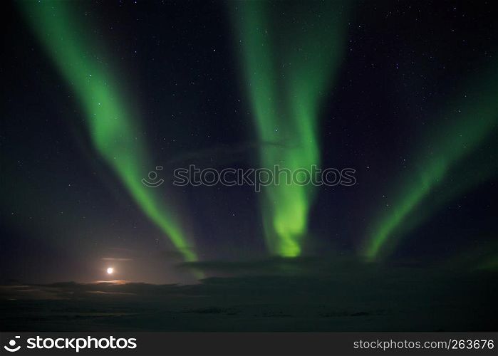 Aurora borealis lights at night in white snow tundra, Russia, North. Beautiful arctic polar landscape of green lightning lines, clouds and moon sky with stars, nature miracle, fantastic view