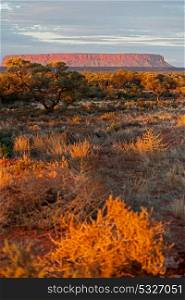 AUSTRALIA,AYERS ROCK-CIRCA AUGUST 2017-the end of the day in ayers rock park