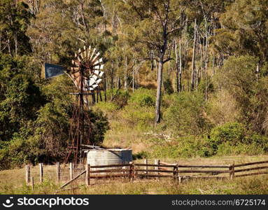 Australian countryside with gumtrees and windmill landscape