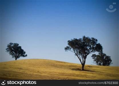 Australian dry landscape