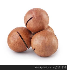 Australian macadamia nut isolated on white background. Australian macadamia nut