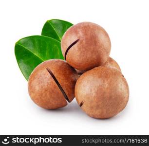 Australian not peeled macadamia nuts with two green leaves isolated on white background. Australian not peeled macadamia nuts with two green leaves