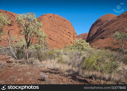 Australian Outback during Austral Winter, 2009