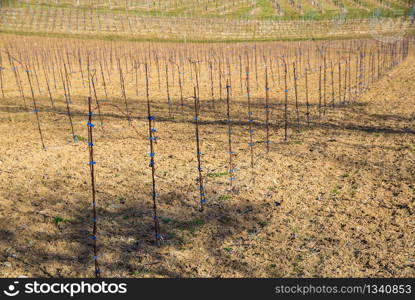 Austria - Kastenburg. Vineyards Sulztal, Leibnitz area south Styria wine street, wine country. March before season. Rows of grape plants winter, spring.. Panorama of Vineyards. Kastenburg south Styria travel spot