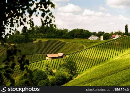 Austria, Slovenia Vineyards Sulztal area south Styria , wine country path to Herzerl Stra?e tourist spot