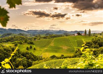 Austria, south styria travel destination. Tourist spot for vine lovers. Sunset landscape. Austria, south styria travel destination. Tourist spot for vine