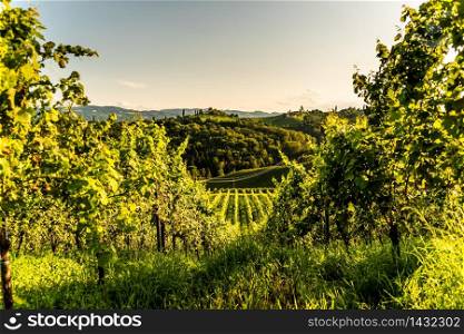 Austria, south styria vineyards travel destination. Tourist spot for vine lovers. Sunset landscape. Austria, south styria vineyards travel destination. Tourist spot for vine