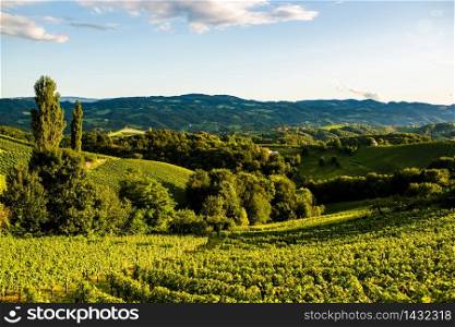 Austria, south styria vineyards travel destination. Tourist spot for vine lovers. Sunset landscape. Austria, south styria vineyards travel destination. Tourist spot for vine