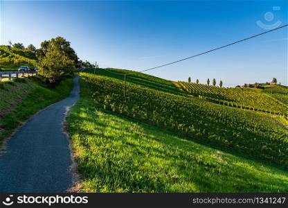 Austria Vineyards Sulztal an der Weinstrasse south Styria , wine country tourist spot. Road through vineyards