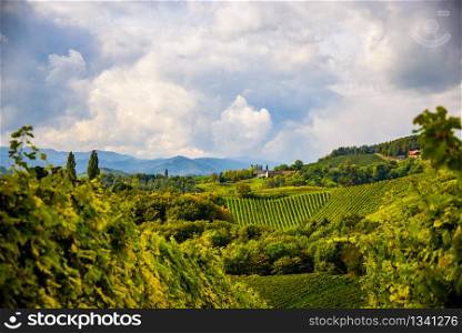Austria Vineyards Sulztal Leibnitz area south Styria Bad Radkersburg, wine country. Austria Vineyards Leibnitz area south Styria travel spot
