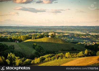 Austria Vineyards Sulztal Leibnitz area south Styria. Sunset landscape. Austria Vineyards Sulztal Leibnitz area south Styria