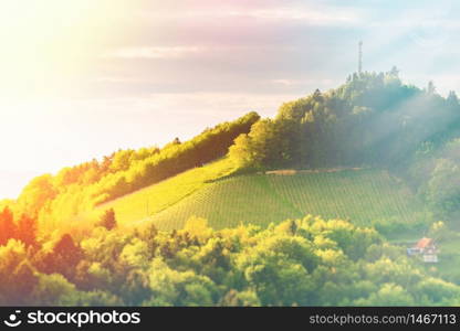 Austria Vineyards Sulztal Leibnitz area south Styria, wine country. Sunny landscape of famous tourist destination. Edited Version of image. Austria Vineyards Leibnitz area south Styria travel spot. Light leaks