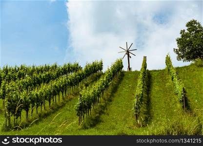 Austria Vineyards Sulztal weinstrasse south Styria tourist spot, wine country places to see. Austria Vineyards vine street south Styria travel spot