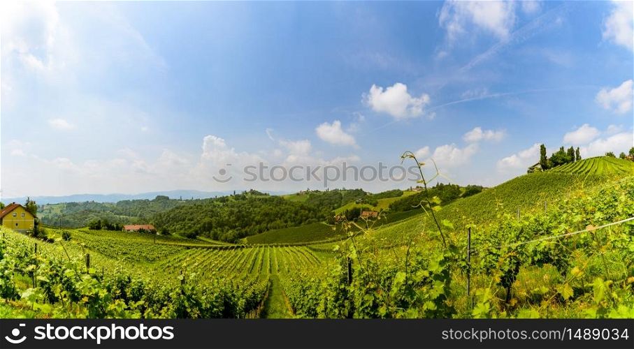 Austria Vineyards Sulztal weinstrasse south Styria tourist spot, wine country places to see. Austria Vineyards vine street south Styria travel spot