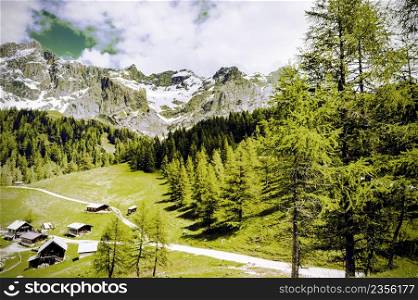 Austrian village surrounded by forests, meadows, fields and pastures on the background of snow-capped Alps. Vintage style