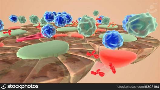 Autoimmune attack on thyroid cells 3D rendering. Autoimmune attack on thyroid cells
