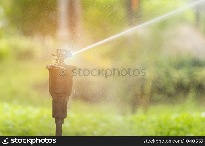 Automatic lawn water sprinkler in urban park. Water saving concept.