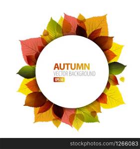 Autumn abstract floral background with place for your text