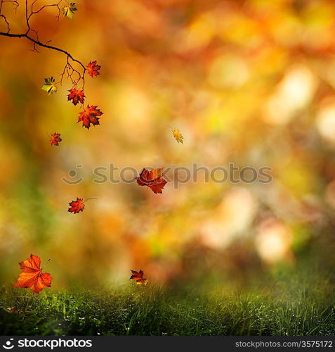Autumn, abstract natural backgrounds for your design