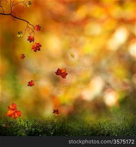 Autumn, abstract natural backgrounds for your design