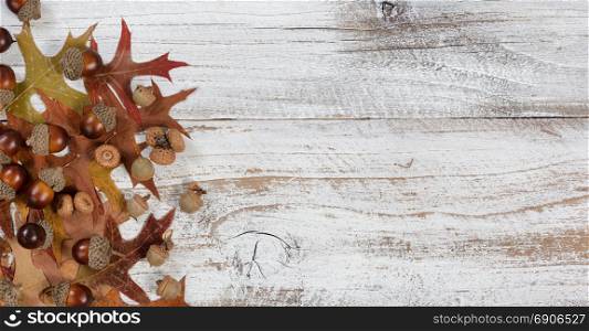 Autumn acorns and faded leaves in flay lay view on rustic white wood with ample copy space