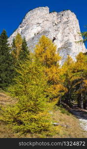 Autumn alpine Dolomites mountain scene, Sudtirol, Italy. Peaceful view near Wolkenstein in Groden, Selva di Val Gardena. Picturesque traveling, seasonal, nature and countryside beauty concept scene.