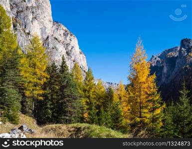 Autumn alpine Dolomites mountain scene, Sudtirol, Italy. Peaceful view near Wolkenstein in Groden, Selva di Val Gardena. Picturesque traveling, seasonal, nature and countryside beauty concept scene.