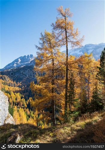 Autumn alpine Dolomites mountain view from Fedaia Pass, Trentino, Sudtirol, Italy. Picturesque traveling, seasonal, and nature beauty concept scene.