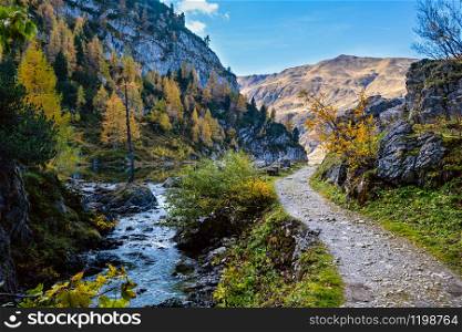Autumn alpine stream view from mountain hiking path to Tappenkarsee, Kleinarl, Land Salzburg, Austria. Picturesque hiking, seasonal, and nature beauty concept scene.