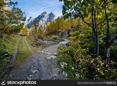 Autumn alpine stream view from mountain hiking path to Tappenkarsee, Kleinarl, Land Salzburg, Austria. Picturesque hiking, seasonal, and nature beauty concept scene.