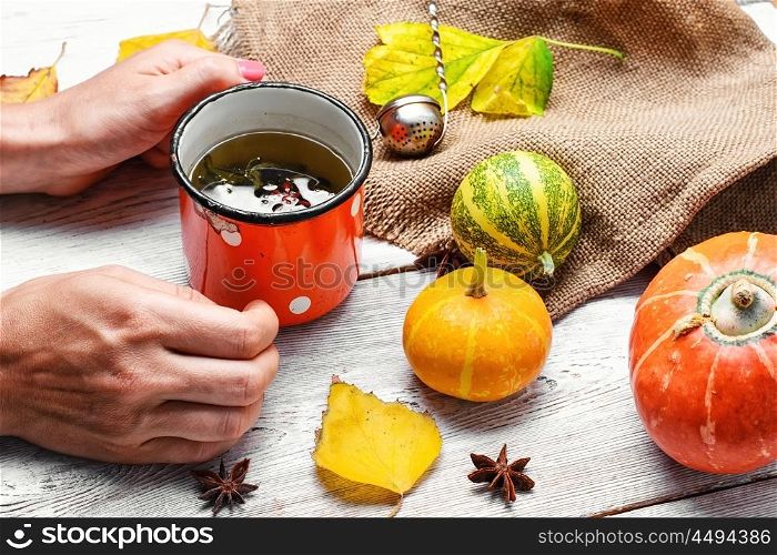 Autumn and cup with tea