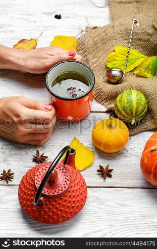 Autumn and cup with tea. Cup of tea in hand and the autumn decoration with pumpkins