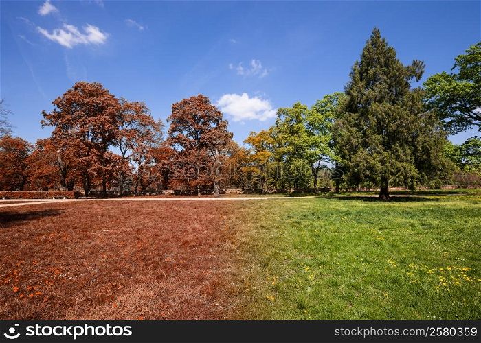 Autumn and summer park at sunny day