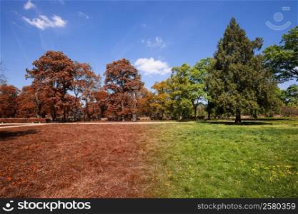 Autumn and summer park at sunny day